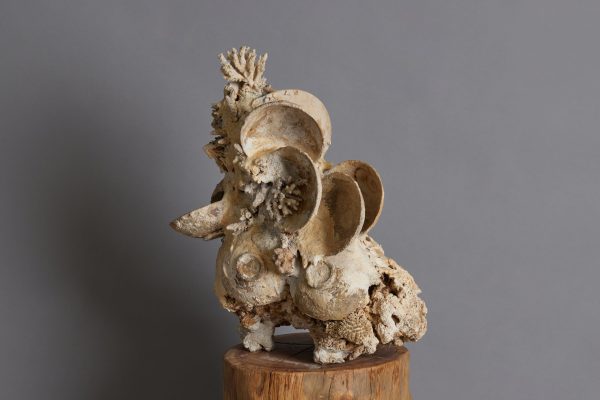 Shipwreck & Coral Conglomeration on Sale