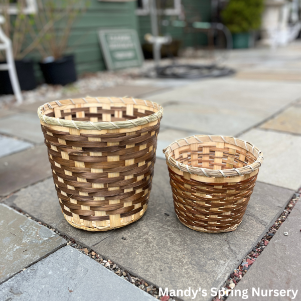 Wicker Basket Planter Online