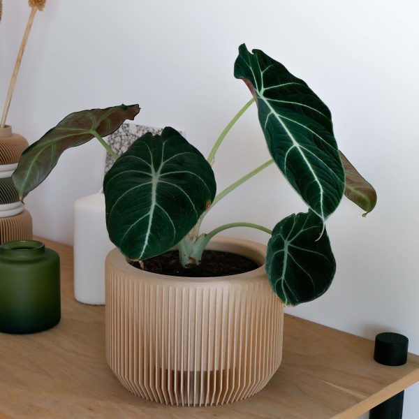 Minimalist Indoor Planter - Praha Supply