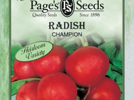 Radish - Champion Seeds For Sale