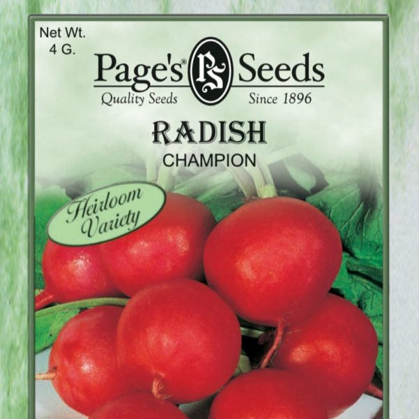 Radish - Champion Seeds For Sale