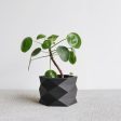 Indoor Planter - Beige, Black, Mist White, Green - Small and Large plant pot - DIAMANT Supply