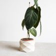 Indoor Planter - Beige, Black, Mist White, Green - Small and Large plant pot - DIAMANT Supply