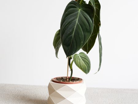 Indoor Planter - Beige, Black, Mist White, Green - Small and Large plant pot - DIAMANT Supply