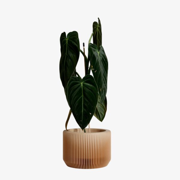 Minimalist Indoor Planter - Praha Supply