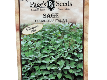 Sage, Broadleaf Herb Online Hot Sale