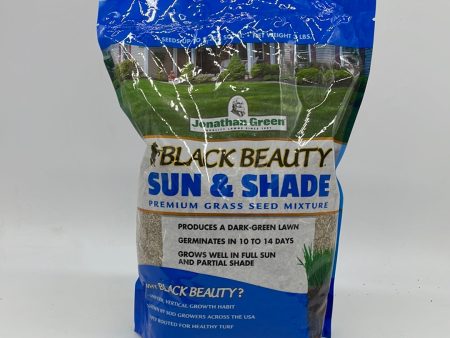 Black Beauty Sun and Shade Grass Seed Hot on Sale