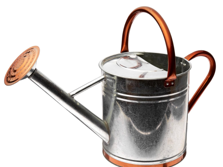 1 Gal  Galvanized Watering Can with Copper Accents Online Sale