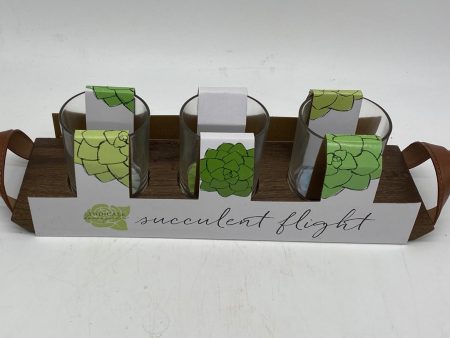 Syndicate Home and Garden Succulent Flight Cheap