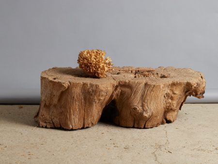 Ancient Natural Teak Coffee Table Bench Fashion