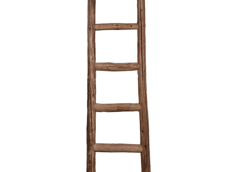 Decorative Ladder Online