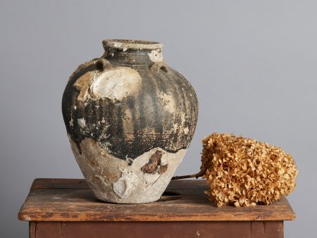 Tsung Dynasty Brown & White Shipwreck Storage Jar with Oyster Encrustations Online now