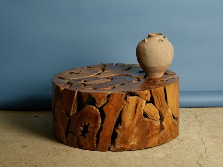 Natural Round Teak Branch Coffee Table Online Sale