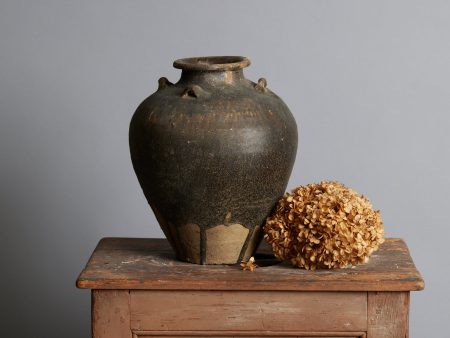 Early Brown & Tan Sawankhalok Storage Container from the Spice Trade Supply