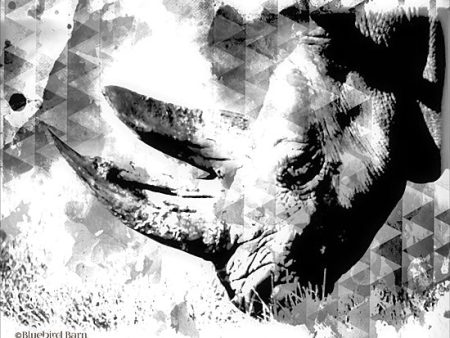 BLUE144 - Modern Black & White Rhino    - 16x12 For Sale