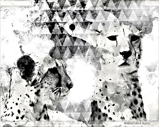 BLUE140 - Modern Black & White Cheetahs    - 16x12 Supply