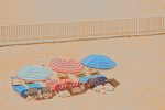 JGS193 - Row of Umbrellas on Beach - 18x12 on Sale