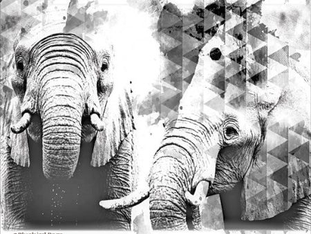 BLUE141 - Modern Black & White Elephants    - 16x12 Hot on Sale