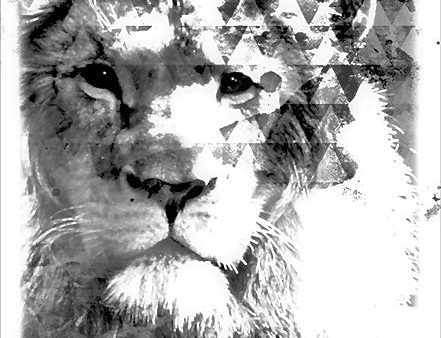 BLUE143 - Modern Black & White Lion - 12x16 Sale