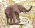 JGS172 - Elephant Trunk I - 16x12 For Sale