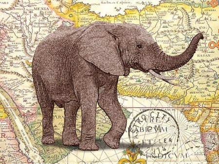 JGS172 - Elephant Trunk I - 16x12 For Sale